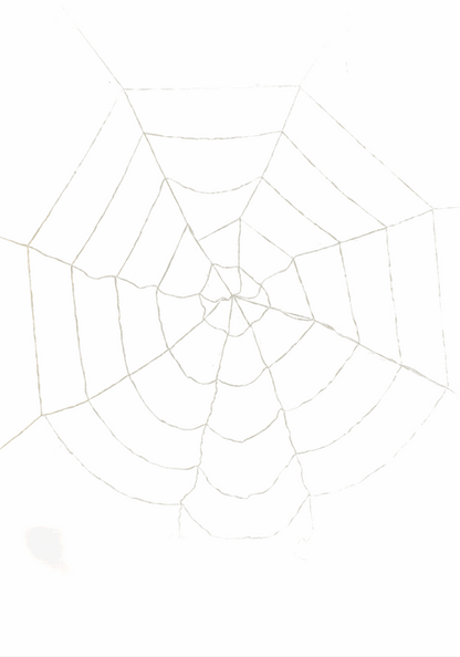 Purple Light-Up Spider Web Prop Decoration - US 9689