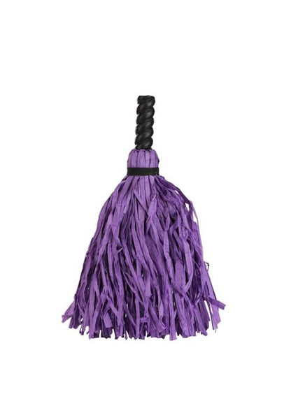 Costume Purple Swirl Witch Broom - US 8682