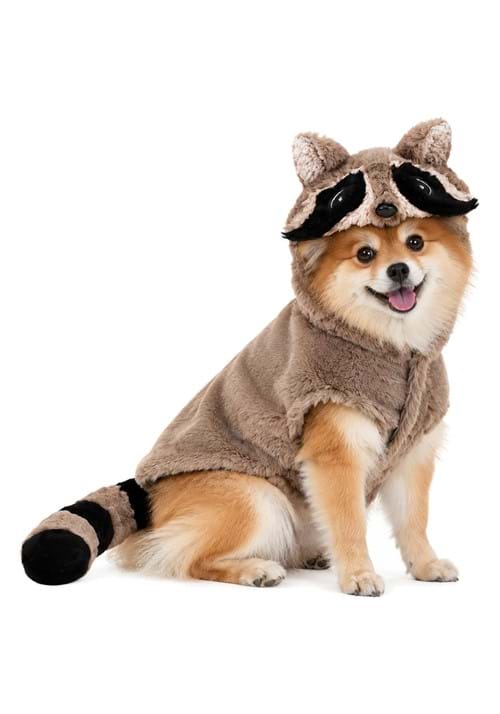 Raccoon Costume for Dogs - US 0588