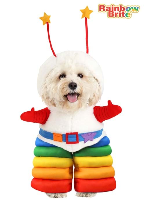 Rainbow Brite Sprite Pet Costume for Dogs - US 2150