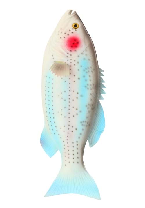 Rubber Fish Rainbow Trout Prop - US 5196