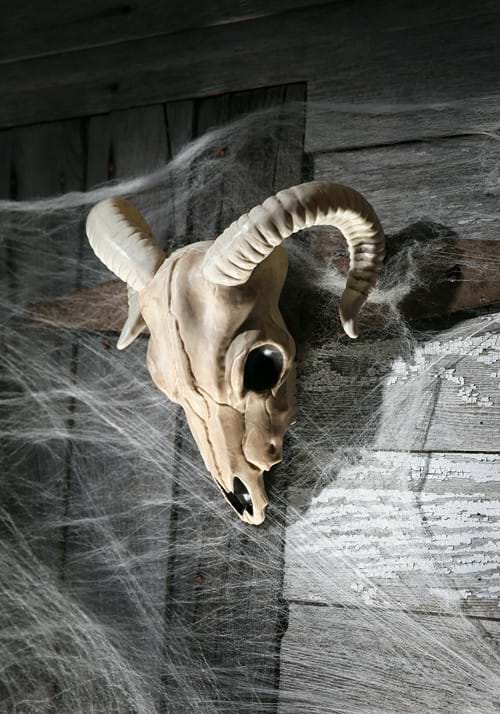 13-Inch Ram Plastic Skull Decoration - US 6773