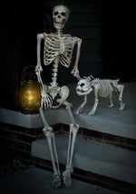 5FT Realistic Poseable Skeleton Halloween Prop - US 0370