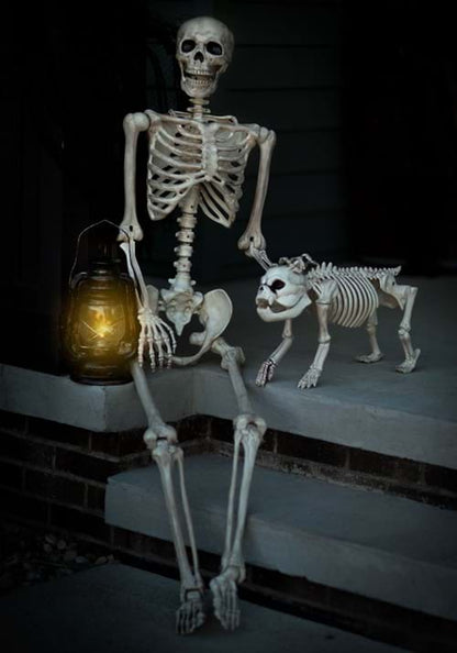 5FT Realistic Poseable Skeleton Halloween Prop - US 0370