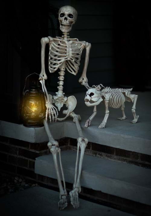 5FT Realistic Poseable Skeleton Halloween Prop - US 0370
