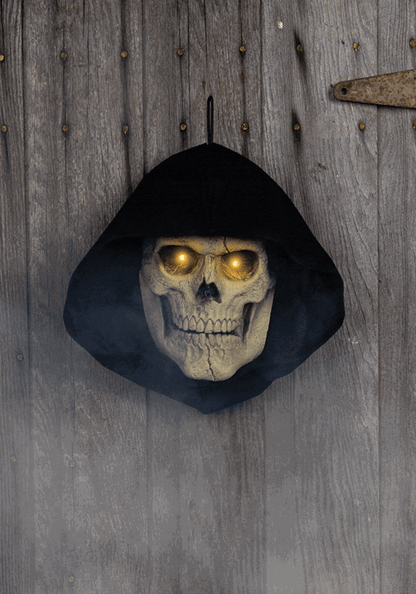 Haunting Reaper Skull Seasonal Visions International Door Decoration - US 3723