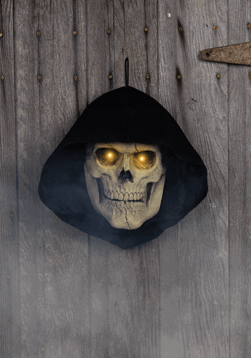 Haunting Reaper Skull Seasonal Visions International Door Decoration - US 3723