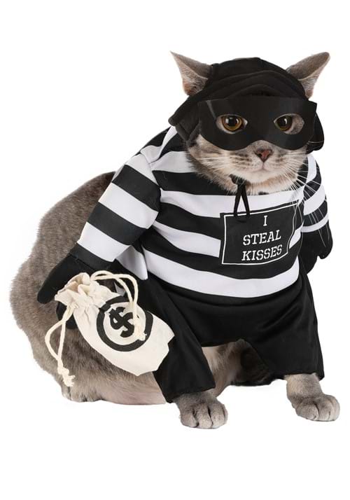 Pet Robber Pup Costume - US 7718