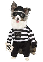 Pet Robber Pup Costume - US 7718