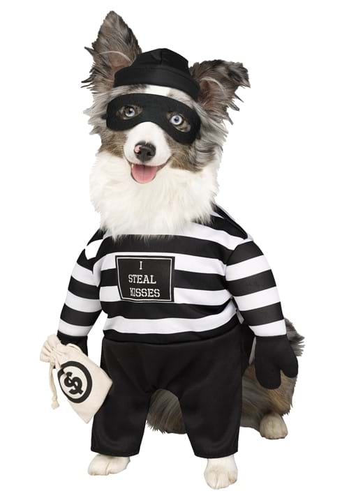 Pet Robber Pup Costume - US 7718