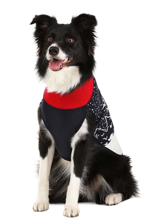 Santa and Reindeer Sweater for Pets - US 8181