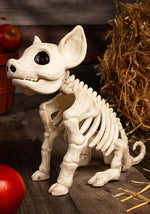 10-Inch Seated Pig Skeleton Decoration - US 1099