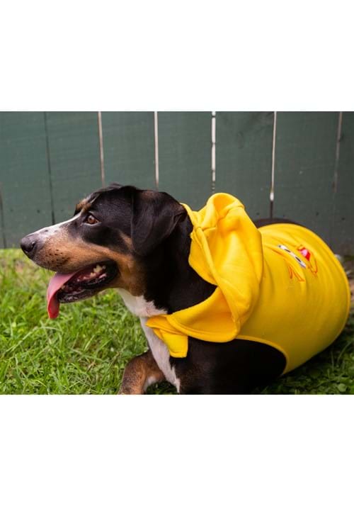 Sesame Street Big Bird Pet Hoodie - US 2989