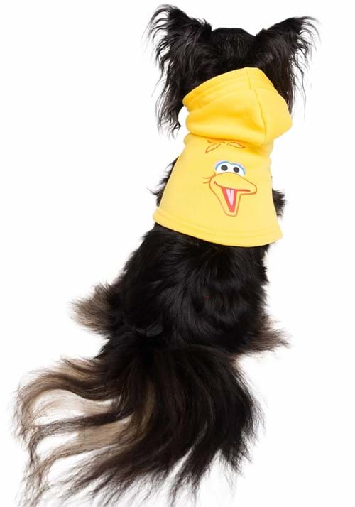 Sesame Street Big Bird Pet Hoodie - US 2989