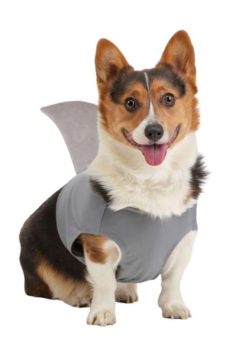 Shark Pet Costume - US 1938