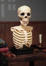 16-Inch Skeleton Bust with Light & Sound Halloween Decoration - US 2030