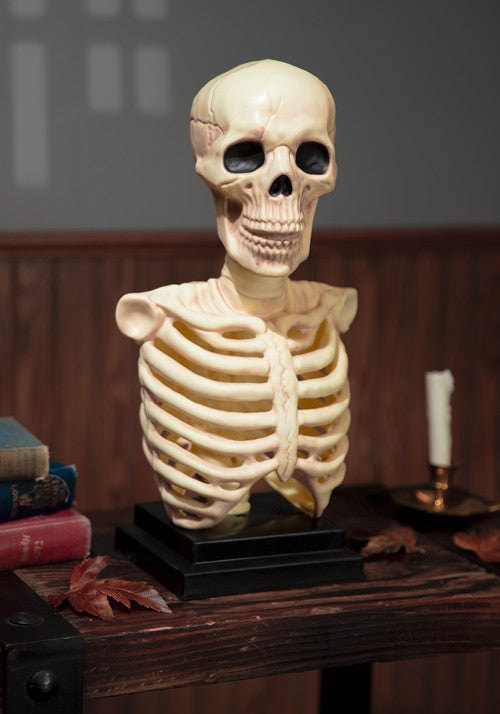 16-Inch Skeleton Bust with Light & Sound Halloween Decoration - US 2030