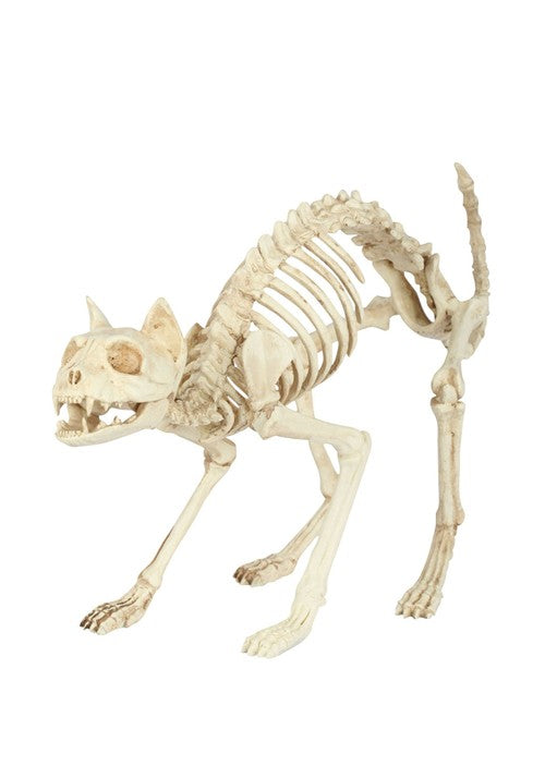 10.5-Inch Skeleton Cat Bones Decoration - US 2016