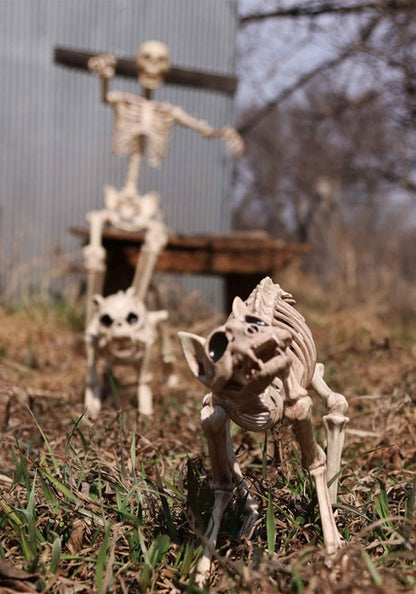 10.5-Inch Skeleton Cat Bones Decoration - US 2016