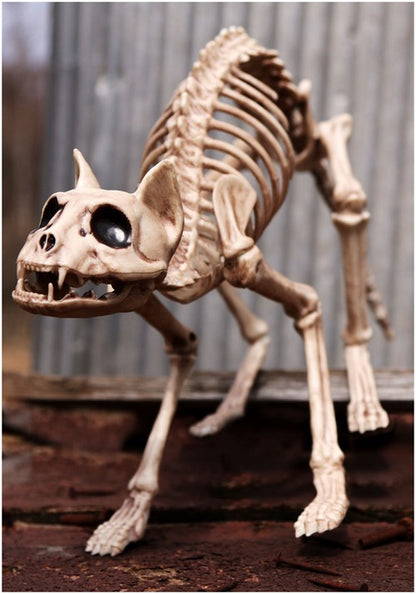 10.5-Inch Skeleton Cat Bones Decoration - US 2016