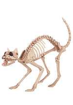Skeleton Cat - US 9422