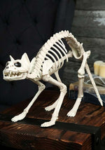 10.5-Inch Skeleton Cat Bones Decoration - US 2016