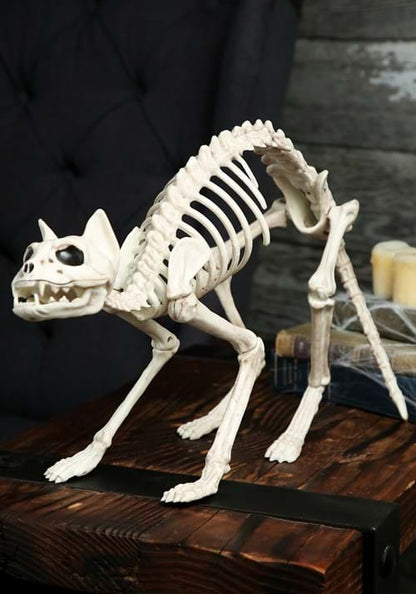10.5-Inch Skeleton Cat Bones Decoration - US 2016
