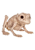 5-Inch Skeleton Frog Decoration - US 7793