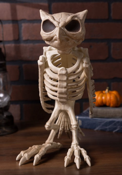 14-Inch Skeleton Owl Bones Decoration - US 5858