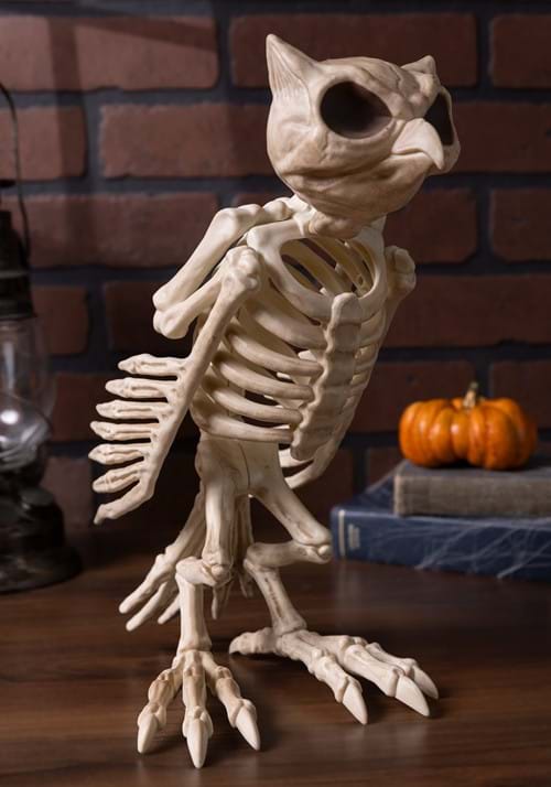 14-Inch Skeleton Owl Bones Decoration - US 5858