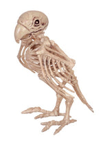 7.5-Inch Skeleton Parrot Decoration - US 7046