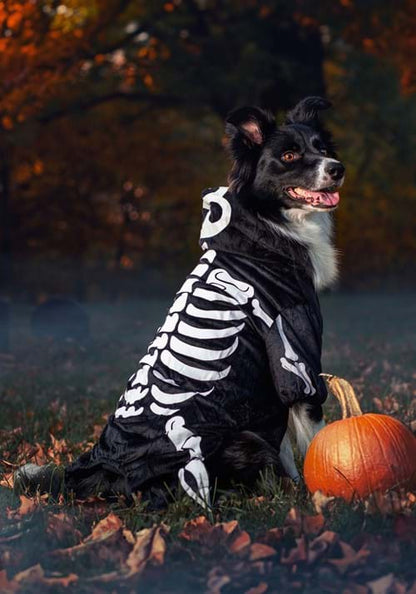 Skeleton Costume For Pets - US 5076