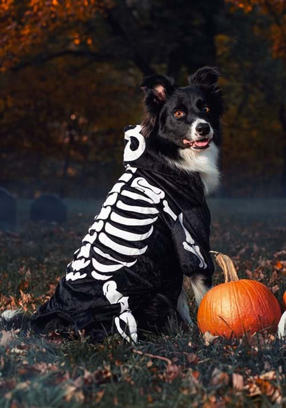 Skeleton Costume For Pets - US 5076