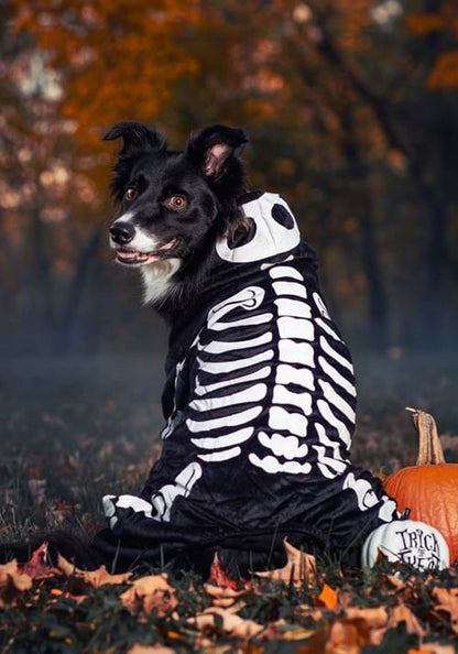 Skeleton Costume For Pets - US 5076
