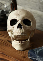 7-Inch Skull with Movable Jaw Prop Decoration - US 7879
