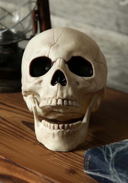 7-Inch Skull with Movable Jaw Prop Decoration - US 7879