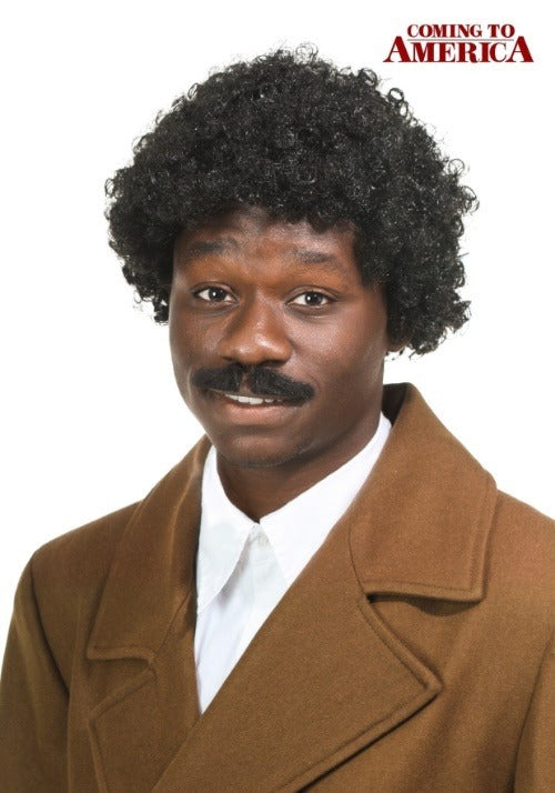Coming to America Adult Soul Glo Wig - US 4231