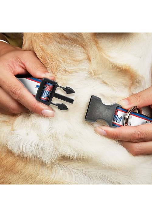 Space Jam Tune Squad Logo Plastic Buckle Collar for Pets - US 2591