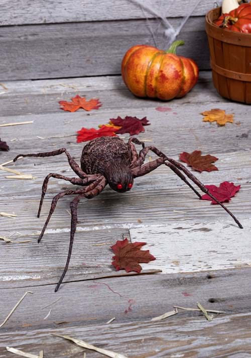 16-Inch Grotesque Spider Decoration - US 5401