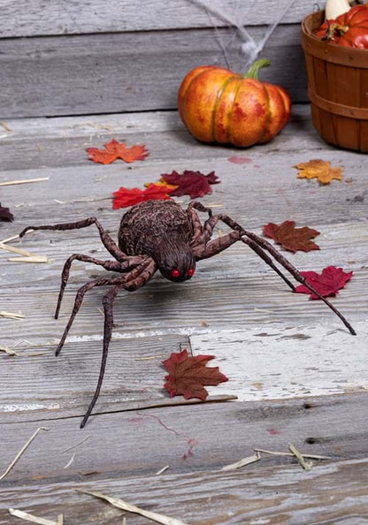 16-Inch Grotesque Spider Decoration - US 5401