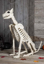 3.8FT Spike the Skeleton Dog Halloween Decoration - US 5525