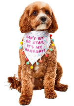 Sprinkle Birthday Bandana Costume for Pets - US 1262