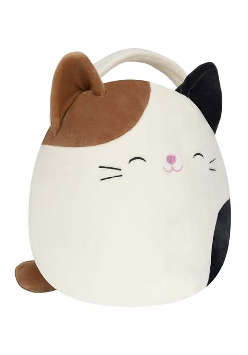 Cam the Cat Squishmallow Treat Pail - US 2043