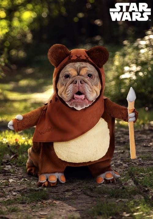 Star Wars Ewok Dog Costume - US 4647