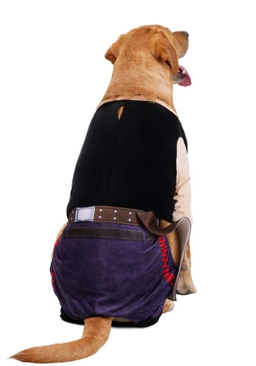 Star Wars Han Solo Pet Costume - US 1024