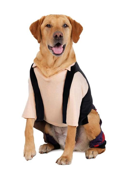 Star Wars Han Solo Pet Costume - US 1024