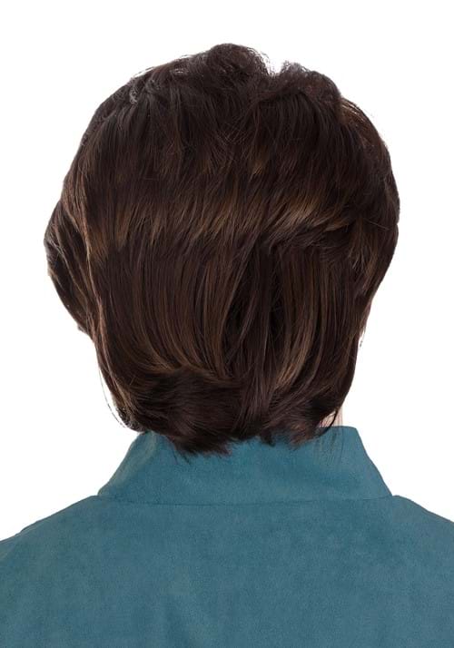 Disney Tangled Flynn Rider Wig & Goatee for Men - US 3008