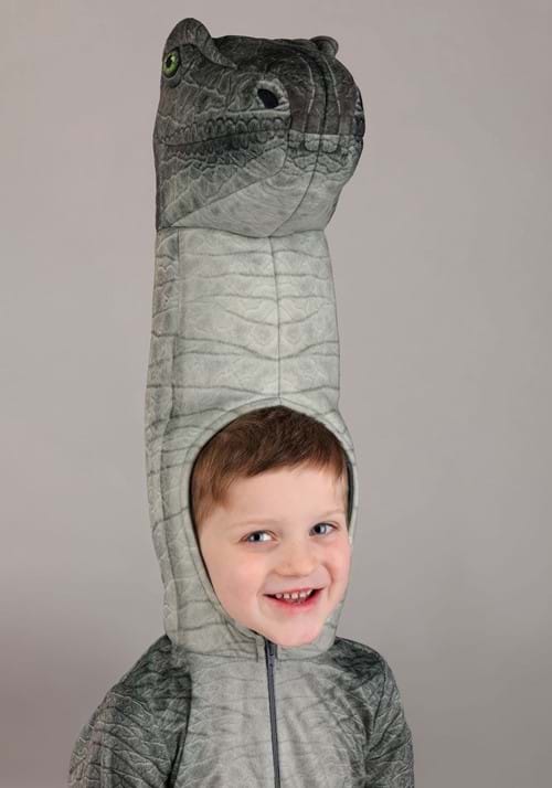Toddler Brontosaurus Costume - US 4979