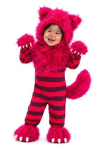Toddler Deluxe Cheshire Cat Costume - US 4420