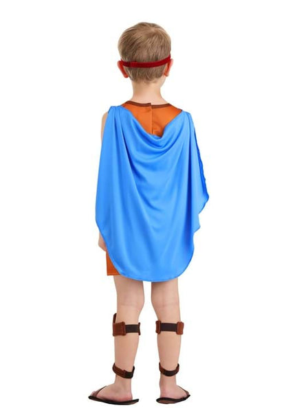 Boy's Toddler Disney Hercules Costume - US 4421
